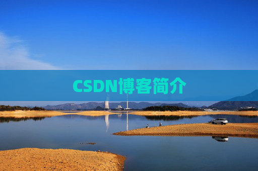 CSDN博客简介